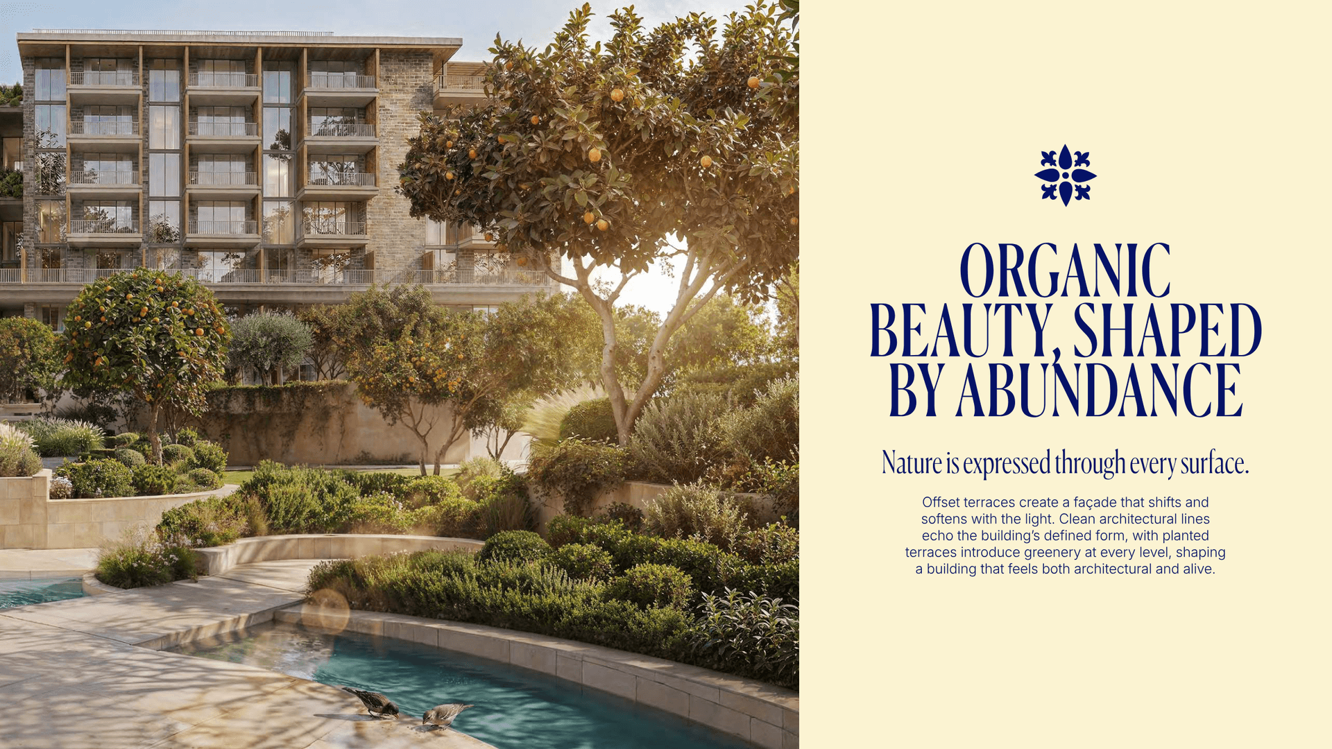 Beyond Arancia 2 20